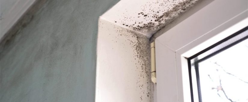 How To Remove Mold Smells From A Dryer