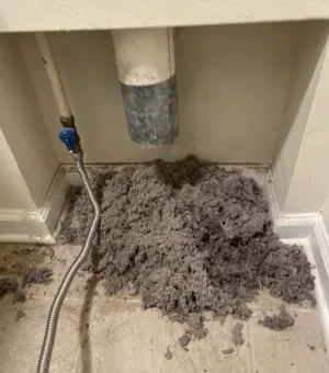 What is Excess lint behind the dryer